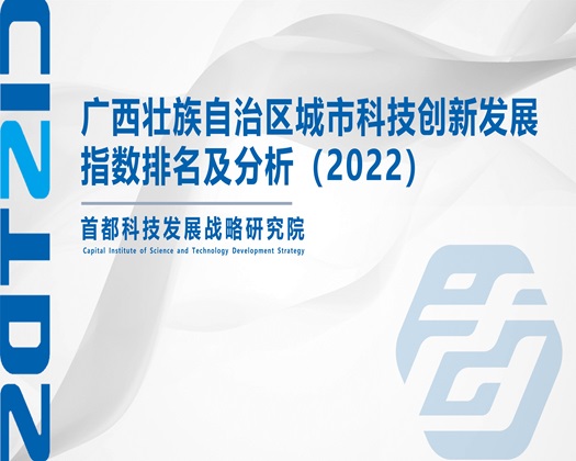 啊爽用力操逼免费视频【成果发布】广西壮族自治区城市科技创新发展指数排名及分析（2022）